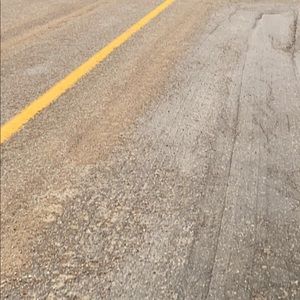 Meet your Posher, Bella